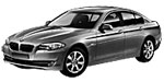 BMW F10 P121B Fault Code